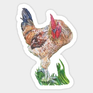 Donovan, Rooster of Yakima Sticker